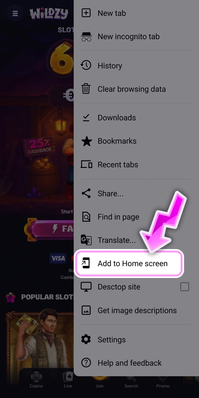 Select the add to home screen option on Wildzy site.